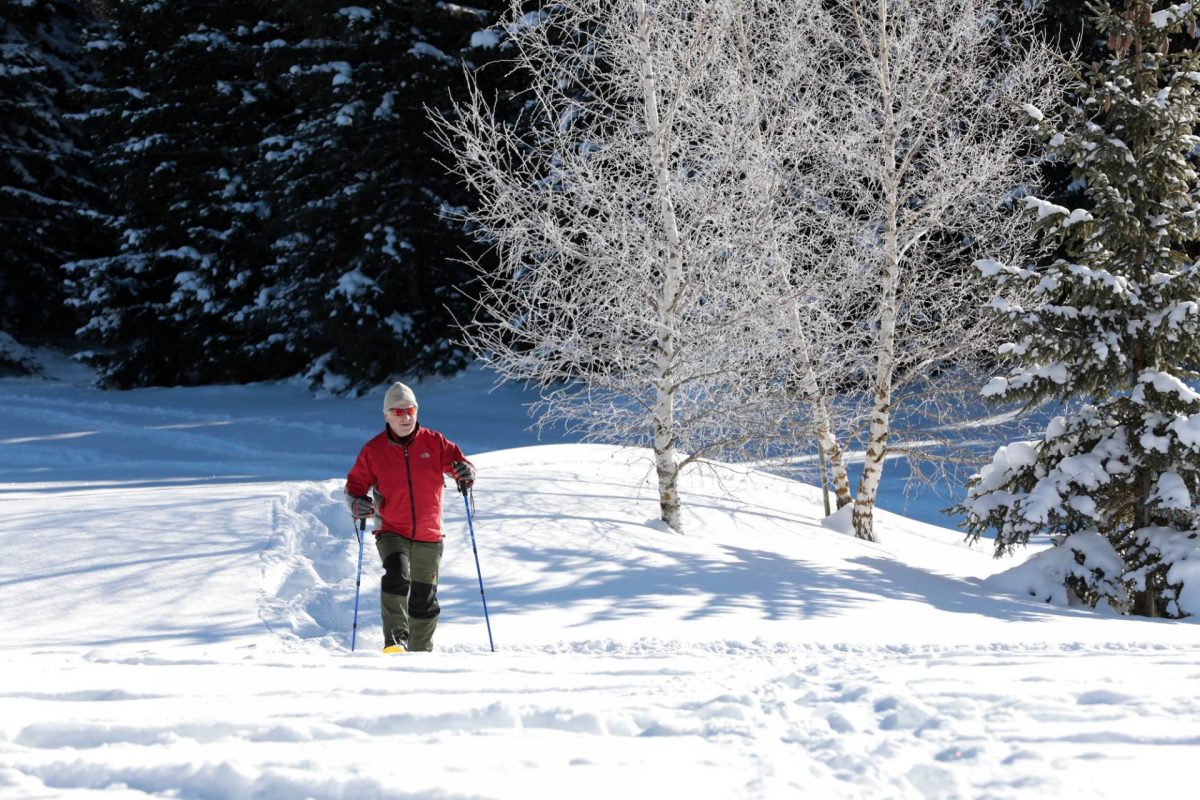 Raquettes au col d'Ornon