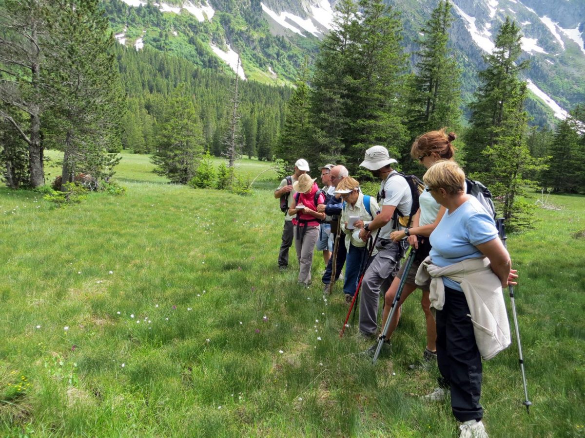Site Natura 2000 du Taillefer