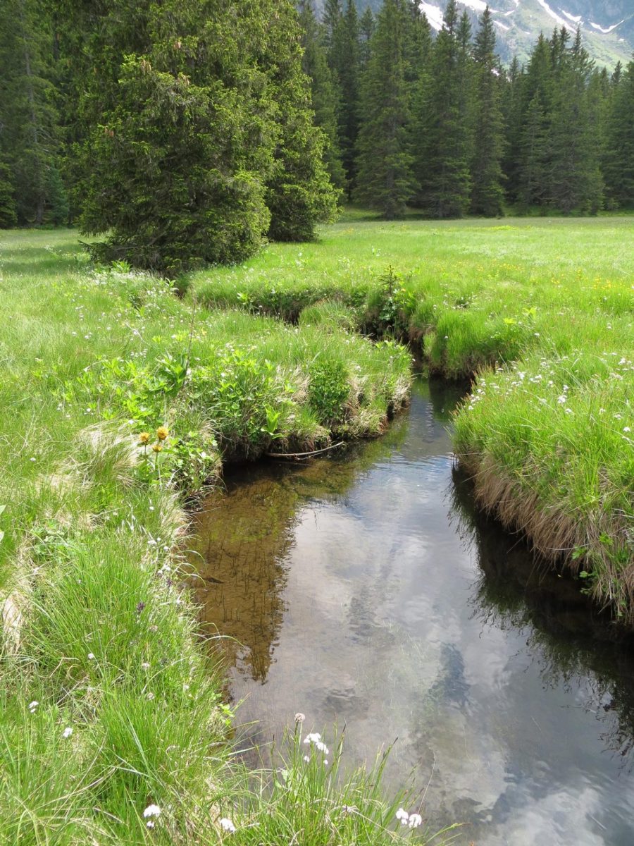 Site Natura 2000 du Taillefer