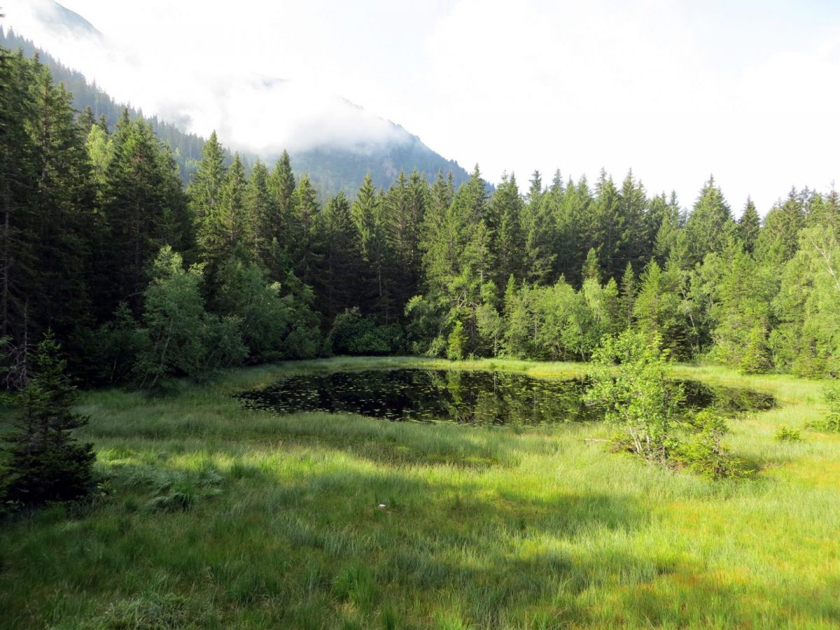 Site Natura 2000 du Taillefer