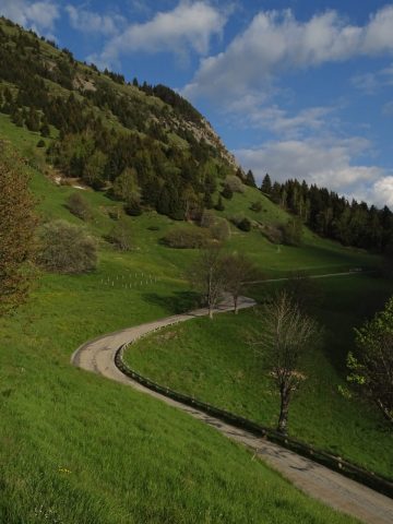 Rando trail – n°5 Bleu – La montée de l’Alpe