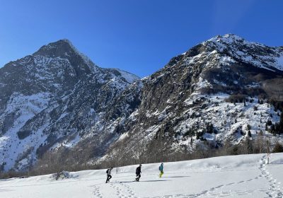 Les bois et la Mure