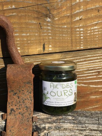 Ail des ours en pesto