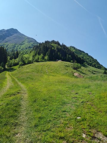 Sur les pistes