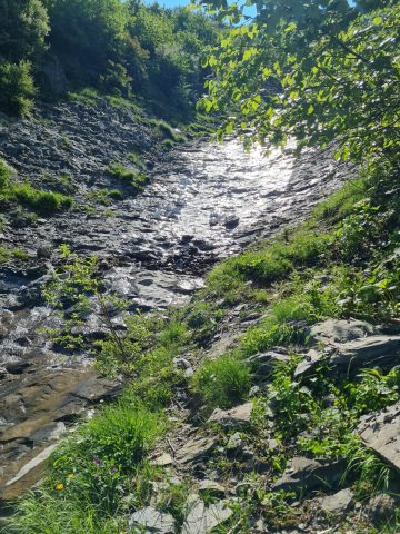 Petit ruisseau sur le sentier