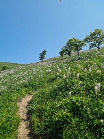 Arrivée sur le col