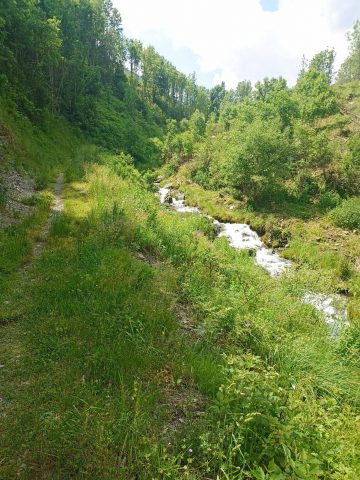 Entre la Pouthuire et la Rive