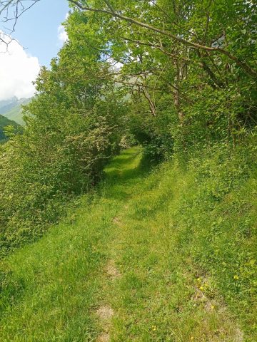 le chemin en direction du Col