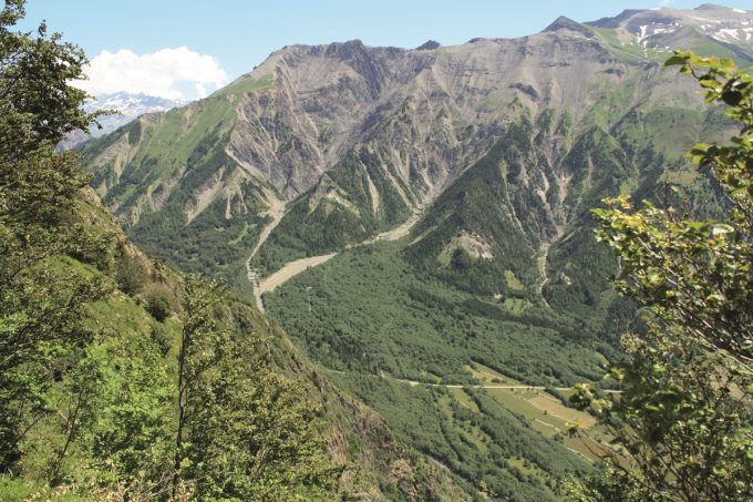 La forêt des Roudons