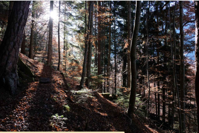 Randonnée : Le sentier du Facteur_Valjouffrey