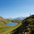 Visite commentée Des tourbières d&rsquo;altitude de l&rsquo;Alpe d&rsquo;Huez en partenariat avec le Bureau des Guides