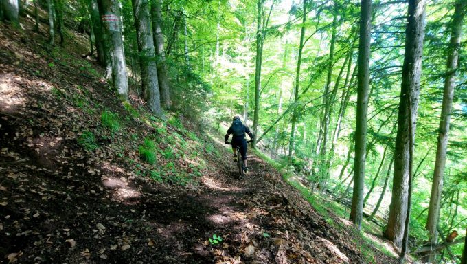 Le chemin de Malaine