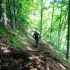 Le chemin de Malaine