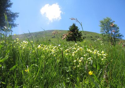 Sentier découverte au Col d’Ornon