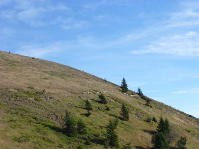 Sentier du Piret