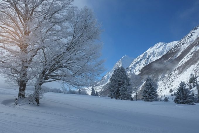 Col d’Ornon forêt