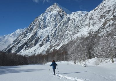 Des ours aux Chamois