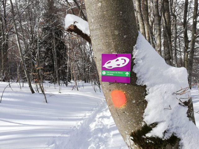 Col d’Ornon – Parcours d’orientation hiver