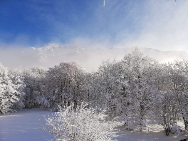 Col d’Ornon – Parcours d’orientation hiver